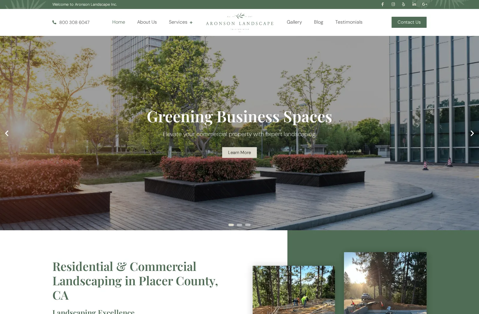 Aronson Landscape live website desktop preview