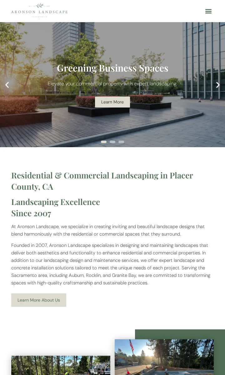 Aronson Landscape live website mobile preview